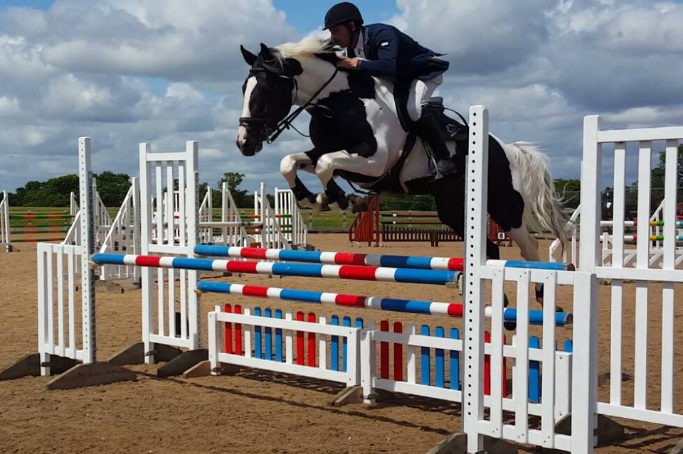 Coloured Showjumping Stallion